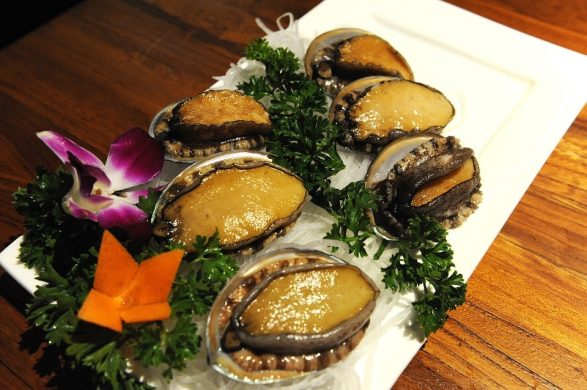 Abalone cooked meat