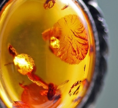 Yellow amber pendant with inclusions