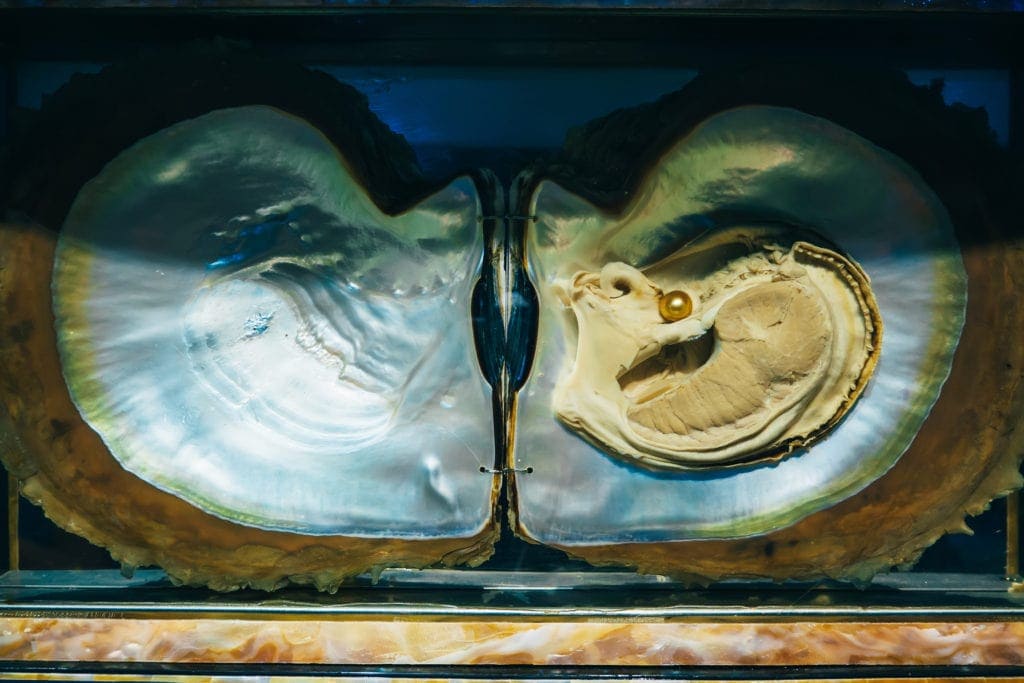 Real gold pearl in open mother-of-pearl oyster shell