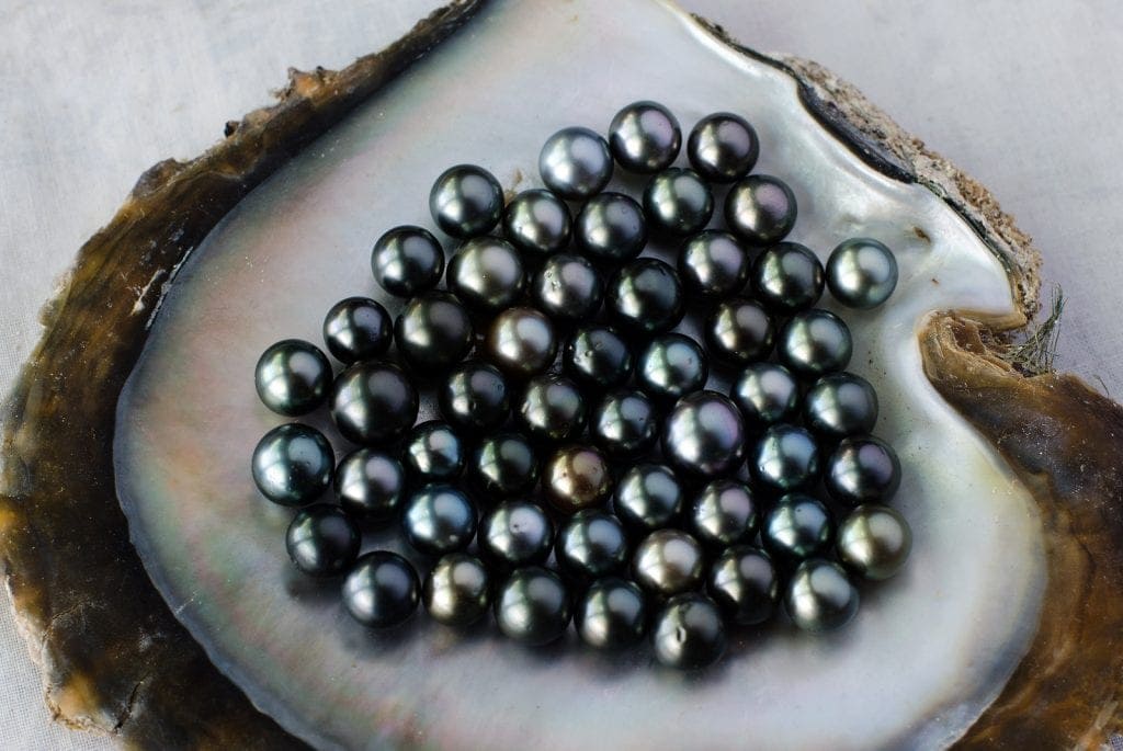 Everything You Need to Know About Tahitian Pearls Pearl Wise