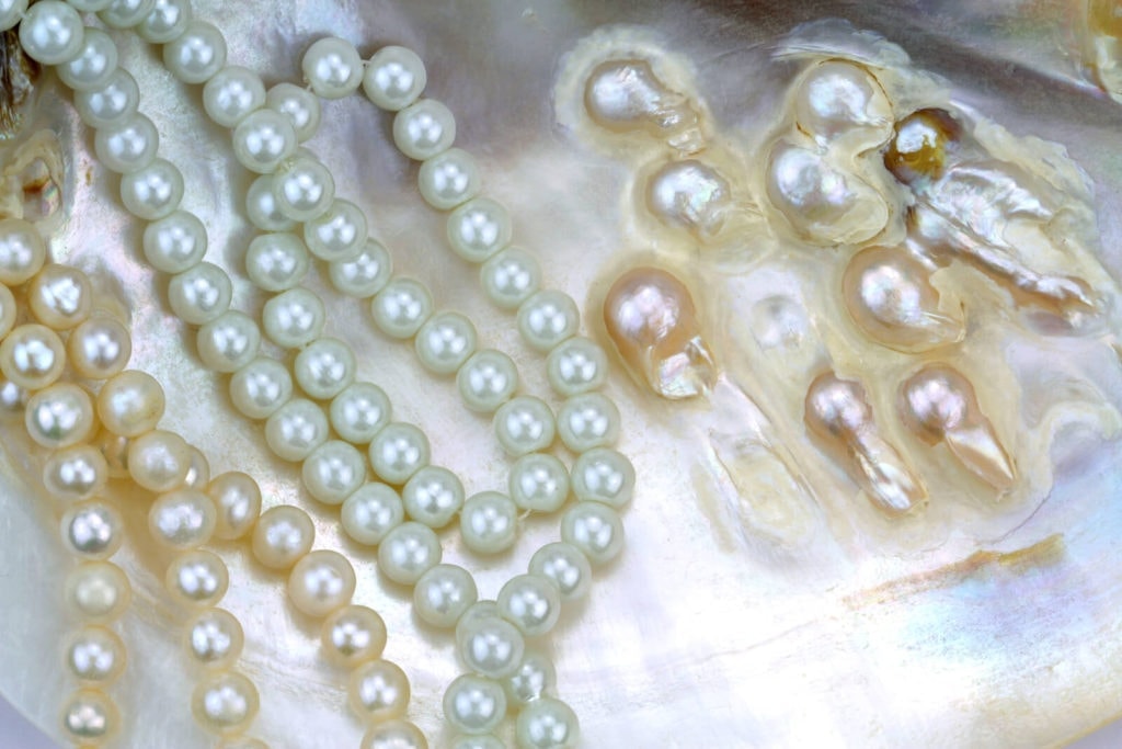 Types of pearls with shell